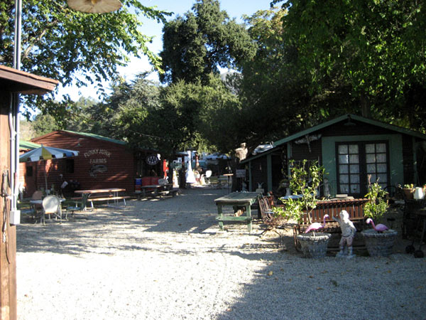 Altadena