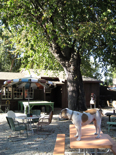 Altadena