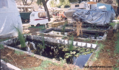 Altadena