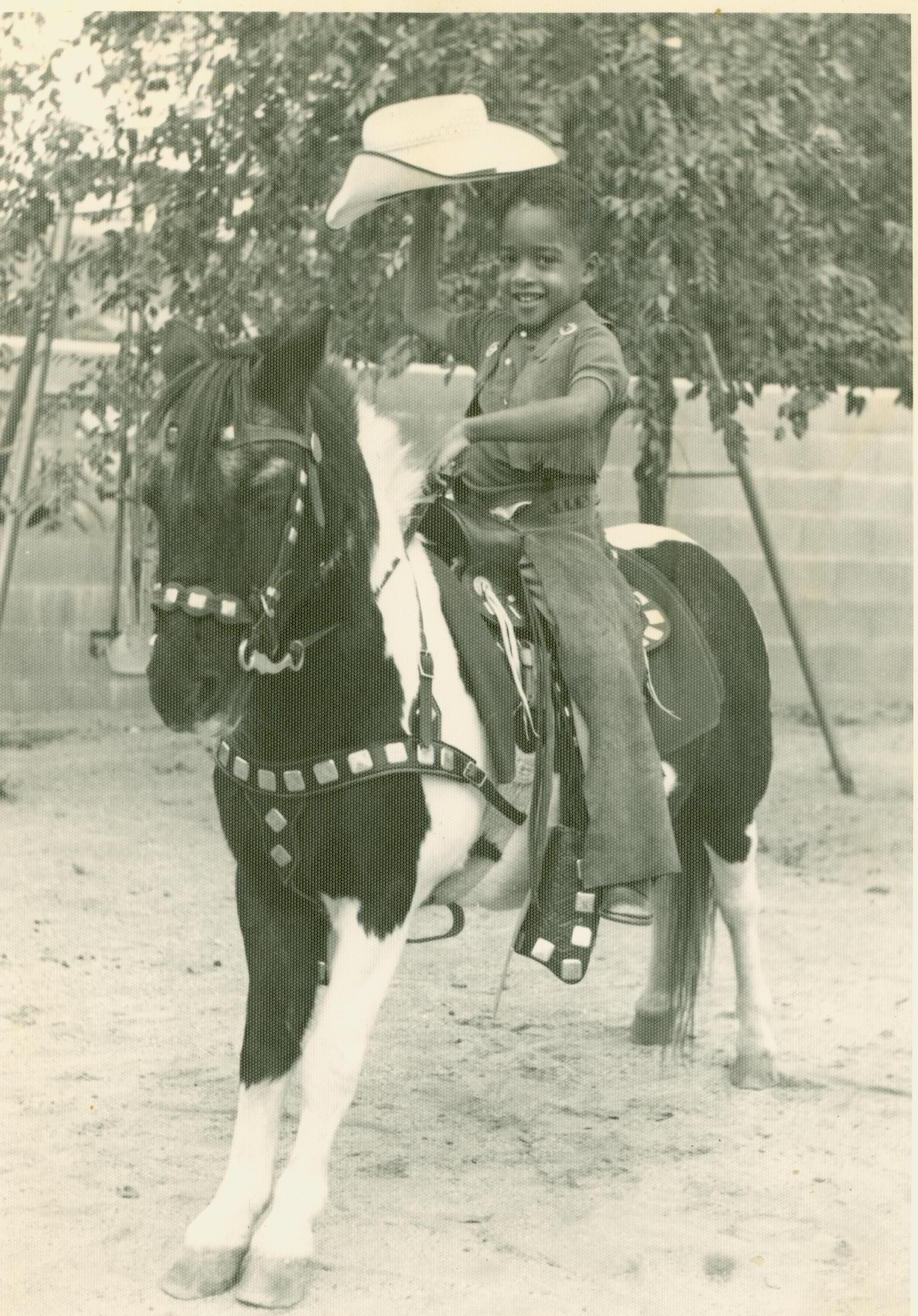 Pony